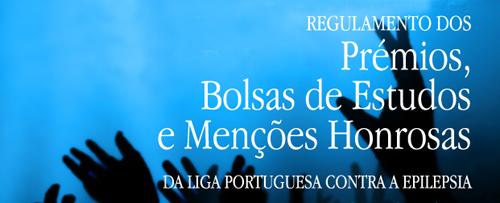 Novo Regulamento do Prémio, Bolsa e Menção Honrosa